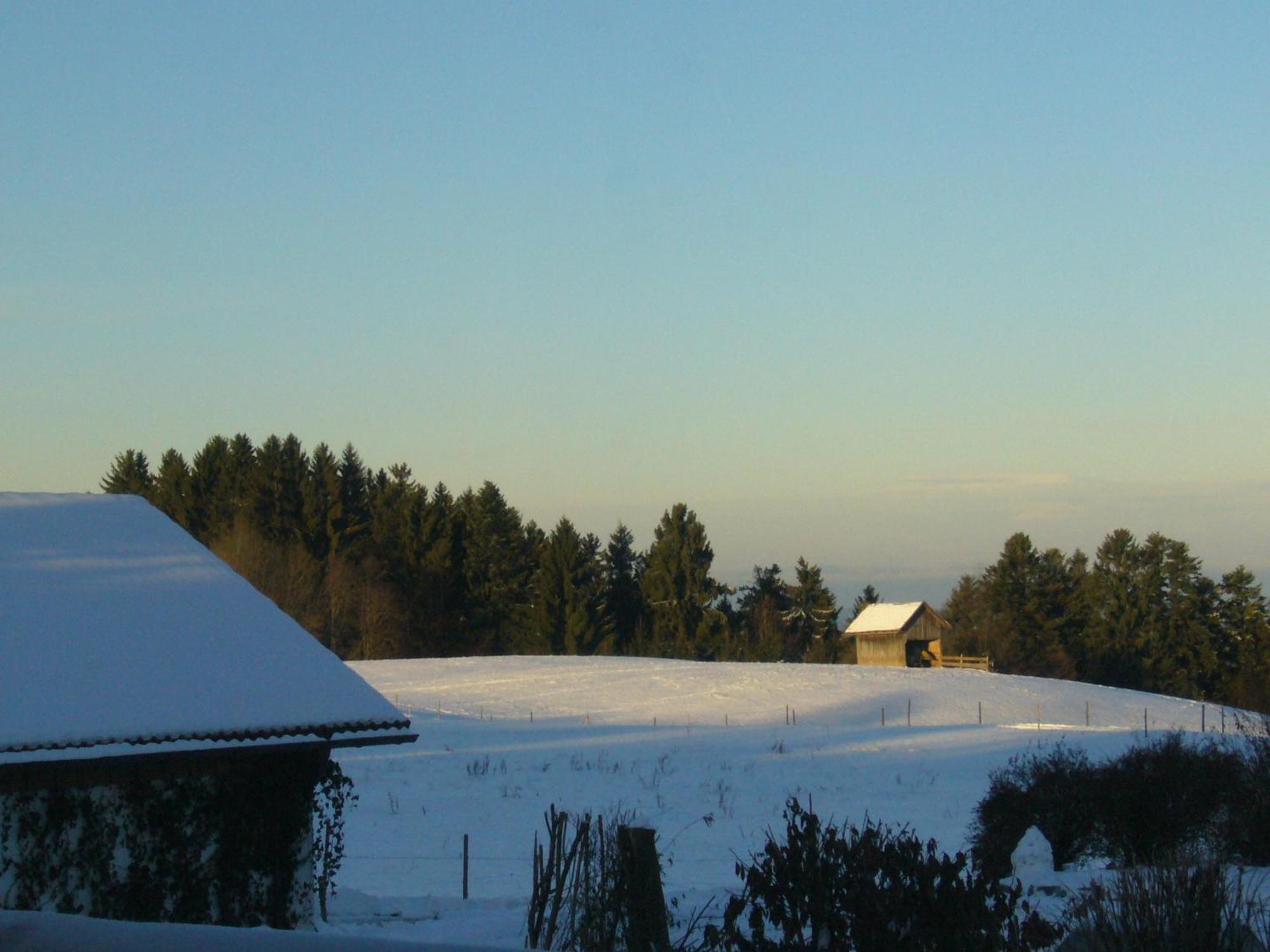 Landhotel Herzberger Garni Zimmer & Ferienwohnungen Scheidegg Exterior foto